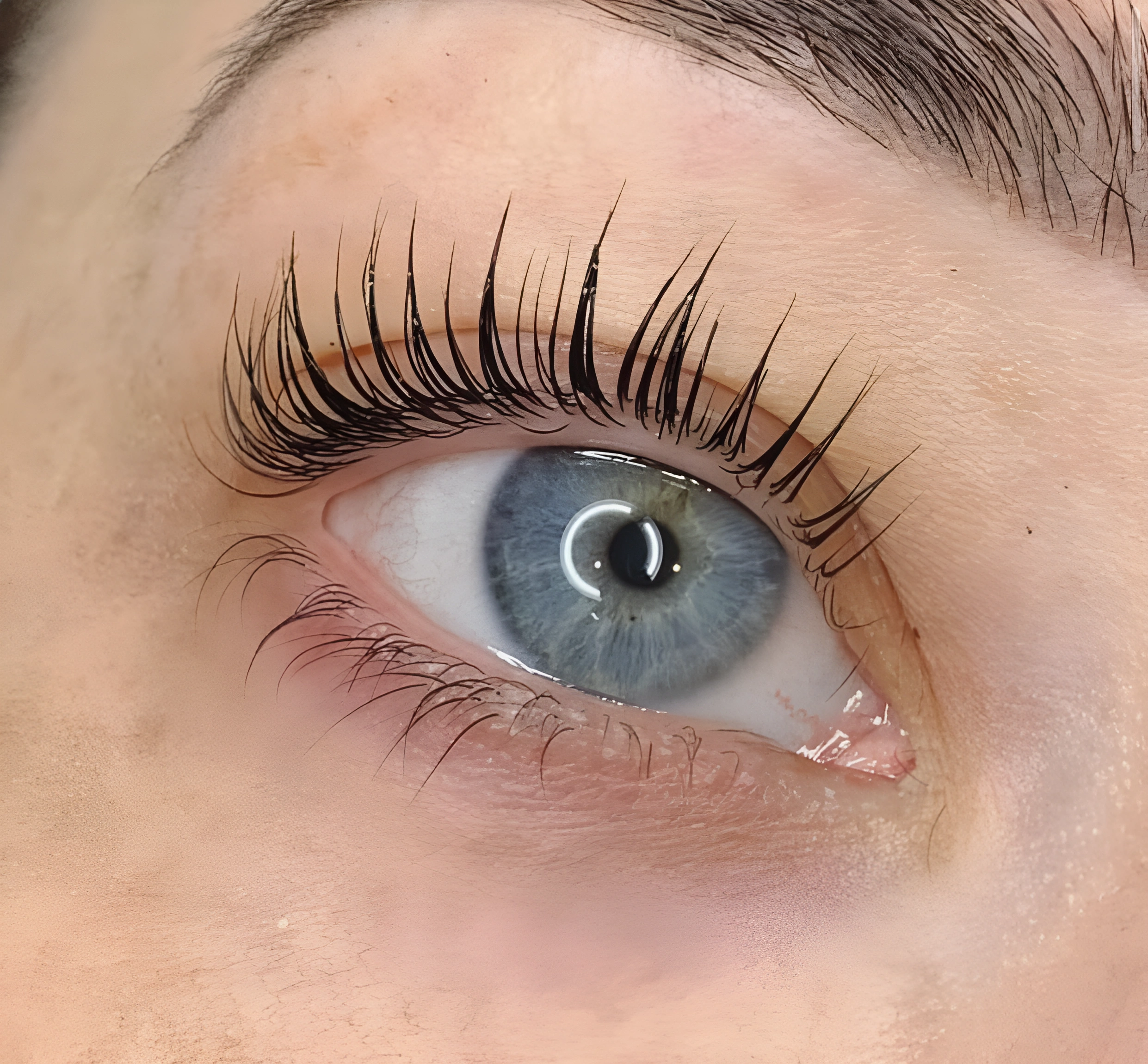 Professionelles Wimpernstyling und kosmetische Behandlung